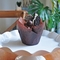 Mini 30m m abrigo de Tulip Paper Baking Cups Muffin del trazador de líneas regular blanco